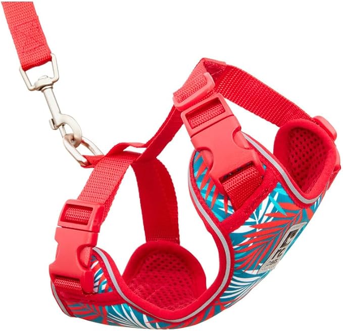 RC Pets Adventure Kitty Harness Includes Adjustable, Airmesh Fabric, 6' Leash and D-Ring Cat Walking Harness | Maldives, Small