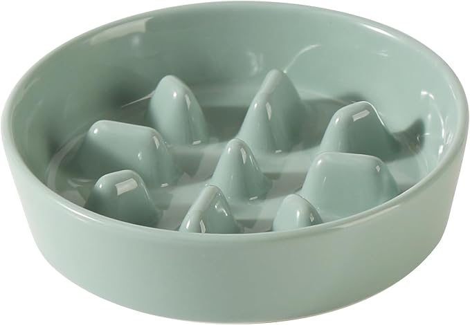 Havniva Dog Bowls Slow Feeder, Ceramic Slow Feeder Dog Bowls for Fast Eater | 1.2 Cups Dog Food Bowl Puzzle Feeder, Slow Feeding Bowls for Small & Medium Breed, Non-Slip Base, Anti-Choking