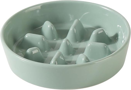 Havniva Dog Bowls Slow Feeder, Ceramic Slow Feeder Dog Bowls for Fast Eater | 1.2 Cups Dog Food Bowl Puzzle Feeder, Slow Feeding Bowls for Small & Medium Breed, Non-Slip Base, Anti-Choking