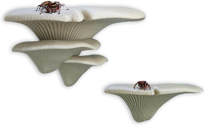 Jumping Spider Mushroom Shelf, Magnetically Concealed Jumping Spider Habitat,Serves As Enclosure Decorate Accessories for Spider Climbing Feeding and Platforms (Simulated wood)