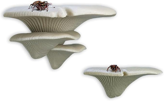 Jumping Spider Mushroom Shelf, Magnetically Concealed Jumping Spider Habitat,Serves As Enclosure Decorate Accessories for Spider Climbing Feeding and Platforms (Simulated wood)