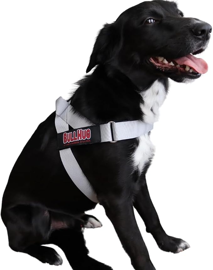 Adjustable Dog Harness– No Pull, No Choke – for English Bulldogs, French Bulldogs, Pugs & Broad-Chested Breeds – Easy, Safe Walks (Silver, Small)