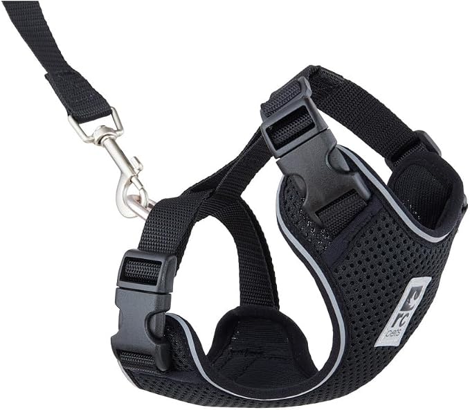RC Pets Adventure Kitty Cat Harness | Adjustable Airmesh Vest with D-Ring and 6ft Leash for Walking and Travel | Black, Large