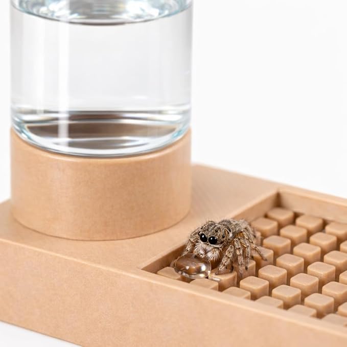 Jumping Spider Water Dispenser Jumping Spider Enclosure Accessories Suitable for Tarantulas, Praying Mantises,and Other Small Animal Enclosure Accessories (Natural Wood Color)