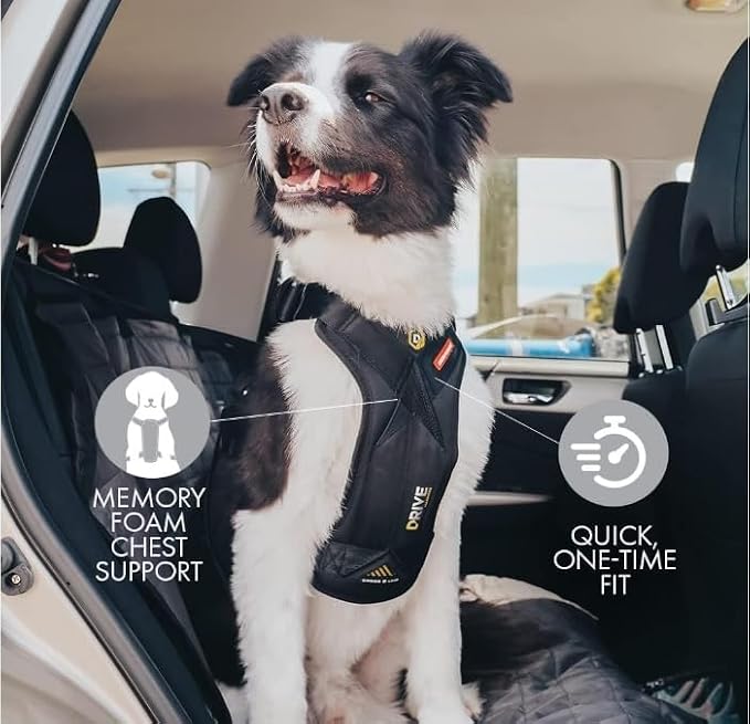 EzyDog Drive Dog Car Harness, Crash Tested and Certified - Medium | US-FMVSS 213 Certified Dog Seat Belt Harness, Adjustable, Padded Comfort Chest Plate, Dual Metal SR Buckles
