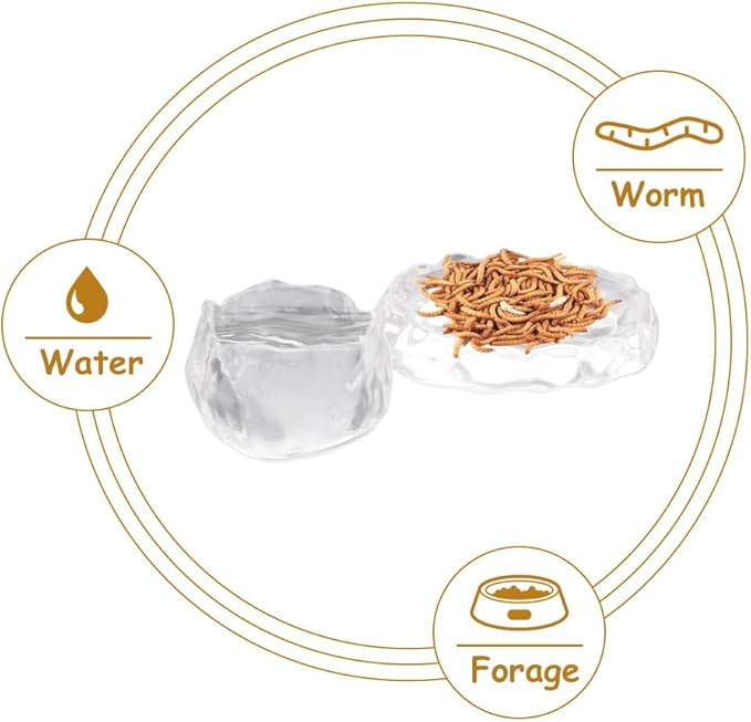 2 Pack Reptile Food Dish and Drinking Bowl Small Food Dish Terrarium Feeder for Small Reptile Lizard Gecko Spider Cricket Baby Bearded Dragon Hermit Crab Snail Turtle