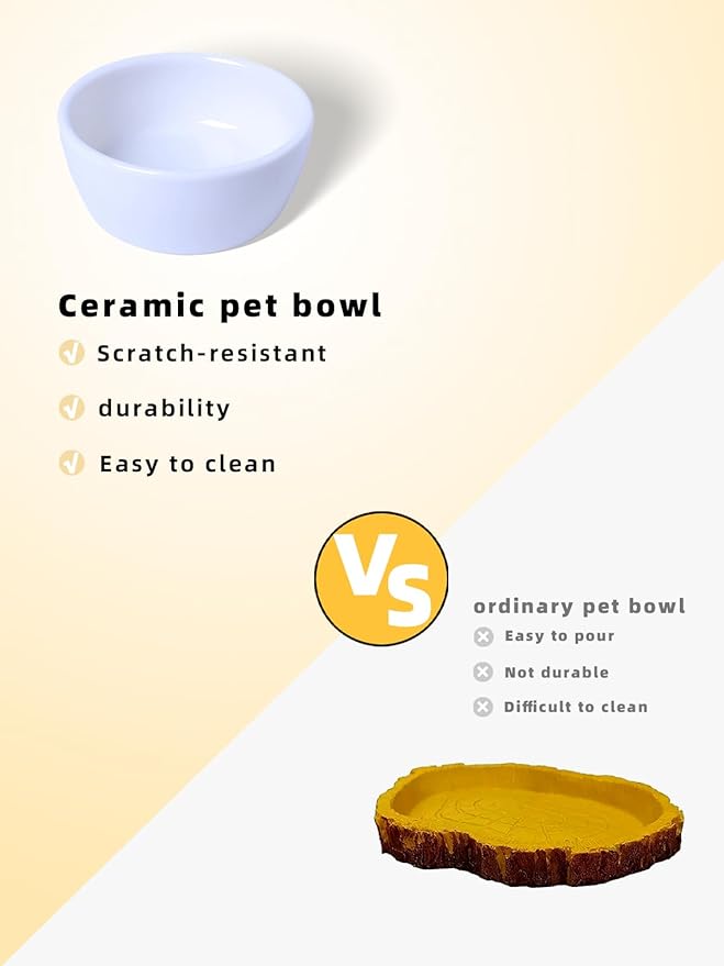 6 Pcs Spider Micro Ceramic Water Bowl, Mini Pet Dish for Spider Tarantula Scorpion Millipede Hermit Crab Tiny Reptile (1.5 oz)
