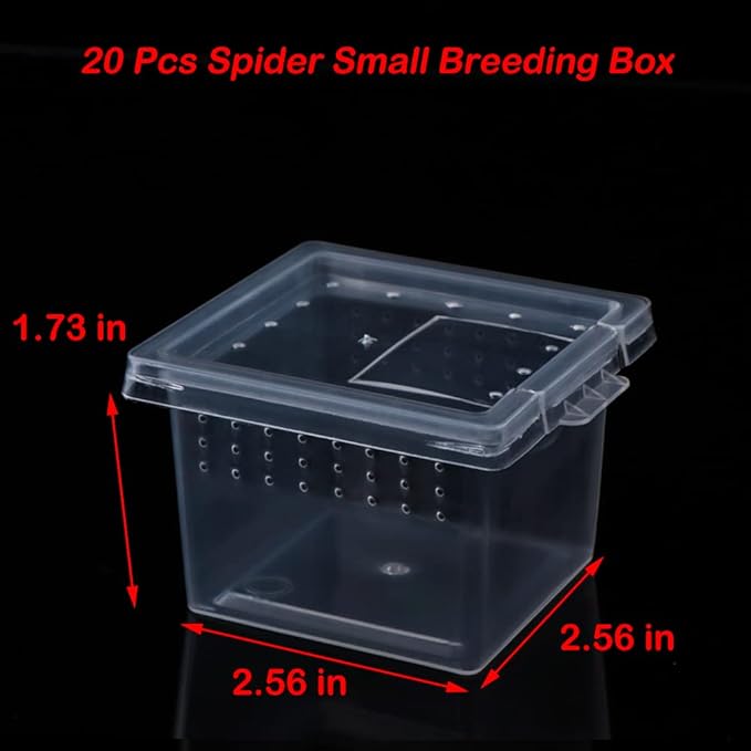DQITJ 20 Pcs Spider Terrariums Breeding Box Hatching Container Acrylic Feeding Box for Small Reptile Scorpion Centipede Insect (Small Size)