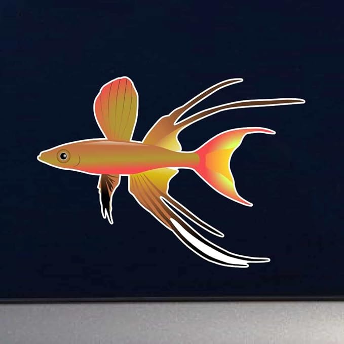 The Threadfin Rainbowfish or Featherfin Rainbowfish Aquarium Fish 3 inch Full Color Indoor Outdoor Vinyl Decal