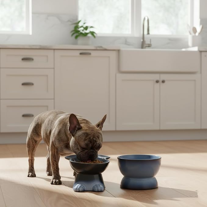 Nihow Dog Food & Water Bowls: Elevated Ceramic Bowls for Medium/Small Dog | Food Safe Raised Puppy Bowls - Gray Pet Bowl for Protecting Pet's Spine (Set of 2)