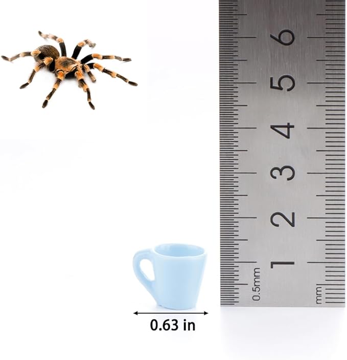 6 Pcs Tarantula Micro Water Bowl Spider Resin Feeding Bowl for Spider Tarantula Millipede Tiny Bugs Small Insects (Blue and Green)