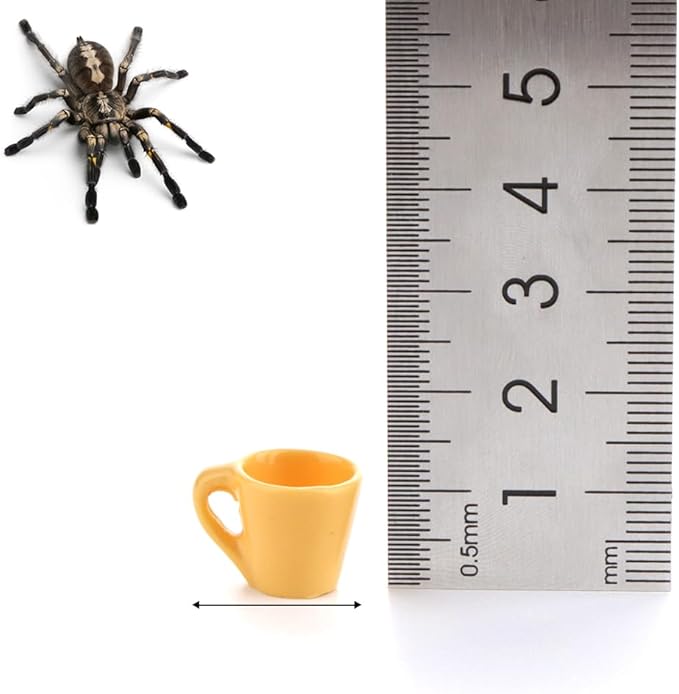 6 Pack Spider Micro Water Bowl Tarantula Resin Feeding Bowl for Tarantula Spider Millipede Tiny Bugs (Yellow and White)