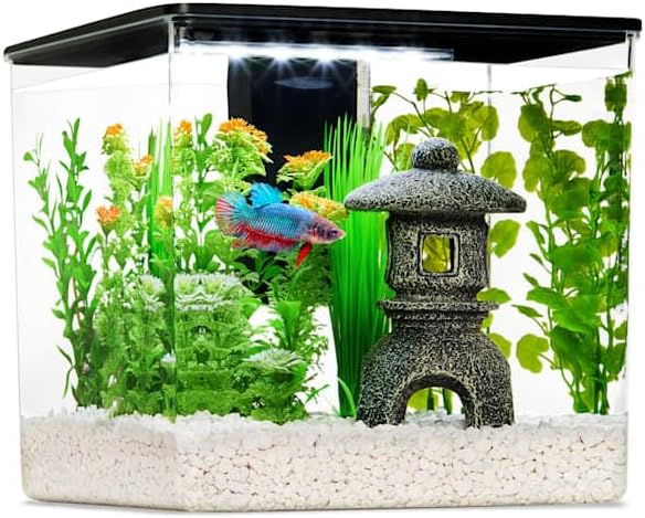 Imagitarium by Petco Betta Cube Kit 2.5 Gallons
