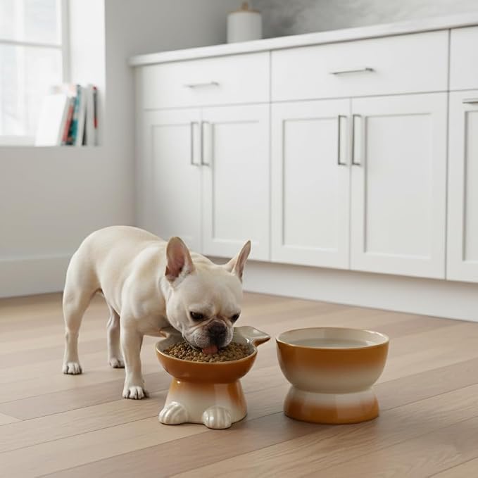 Nihow Dog Food & Water Bowls: Elevated Ceramic Bowls for Medium/Small Dog | Food Safe Raised Puppy Bowls - Brown Pet Bowl for Protecting Pet's Spine (Set of 2)