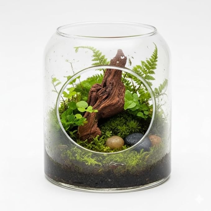 EmoursTM Aquarium Sinkable Driftwood Fish Tank Decoration (Small)