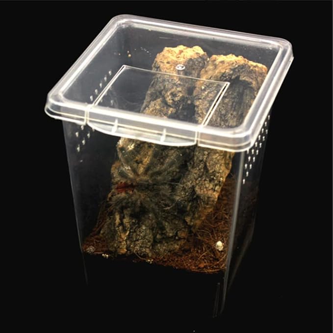 3 Pcs Acrylic Transparent Insect Reptile Spider Terrariums Breeding Box Hatching Container,Portable Small Reptile Animal Habitat Cage,Plastic Transport Container(Big Size)