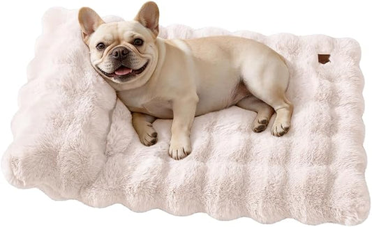 SOMAHE Cat Bed and Small Dog Bed Mat, Raised Pillow, 27 x 20 Inch, White | Self-Warming Fuzzy Faux Fur Surface, Soft Plush Pet Sleeping Pad for Indoor Cats, Machine Washable, Non-Slip Bottom