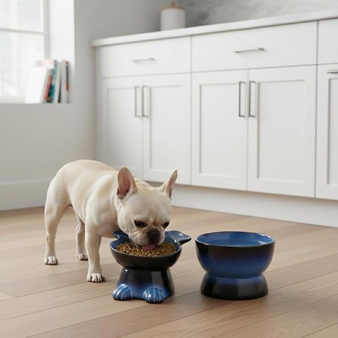 Nihow Dog Food & Water Bowls: Elevated Ceramic Bowls for Medium/Small Dog | Food Safe Raised Puppy Bowls - Vivid Blue Pet Bowl for Protecting Pet's Spine (Set of 2)