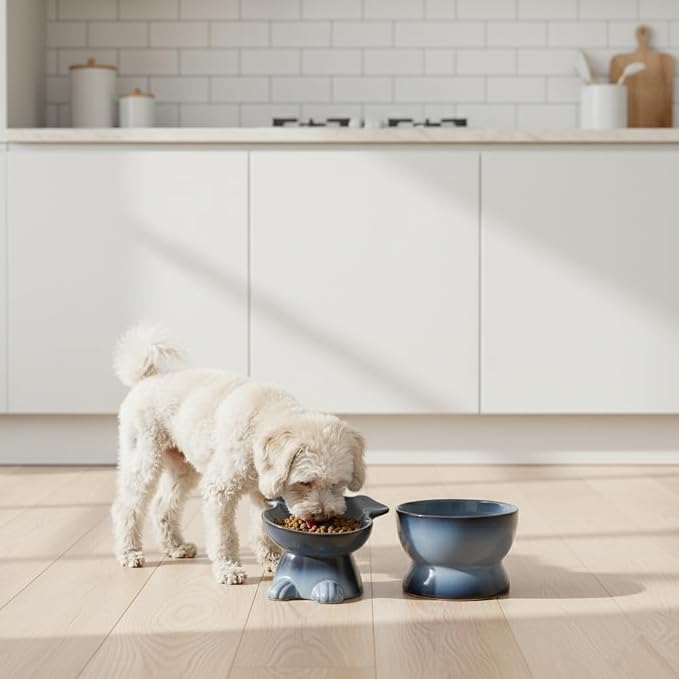 Nihow Dog Food & Water Bowls: Elevated Ceramic Bowls for Medium/Small Dog | Food Safe Raised Puppy Bowls - Gray Pet Bowl for Protecting Pet's Spine (Set of 2)