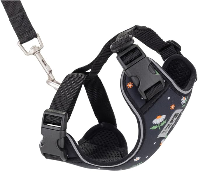 RC Pets Adventure Kitty Cat Harness | Adjustable Airmesh Vest with D-Ring and 6ft Leash for Walking and Travel | Daisies, Small