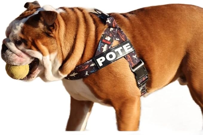 Adjustable Dog Harness– No Pull, No Choke – for English Bulldogs, French Bulldogs, Pugs & Broad-Chested Breeds – Easy, Safe Walks (Shark, Medium)