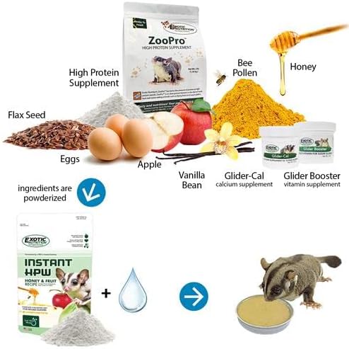 Congo Cage & Starter Package for Sugar Gliders - Includes Durable Cage, Exercise Wheel, Healthy Food Assortment, Water Bottle, Food Dishes & Nest Pouch