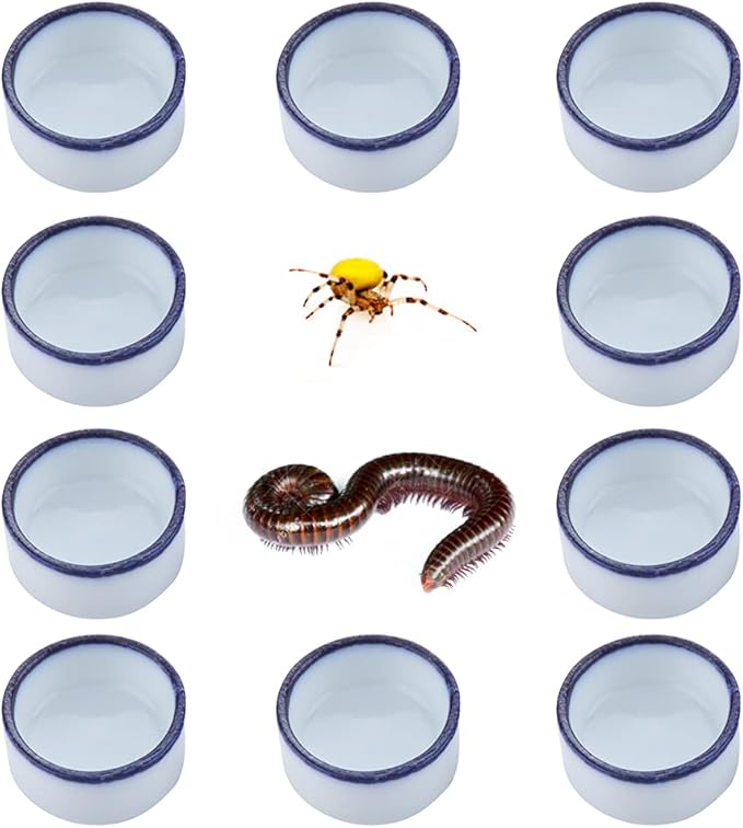 10 Pcs Spider Micro Water Bowl Mini Ceramic Dish for Tiny Reptile Spider Millipede Tarantula (Small Size: 0.86" D, 0.43" H)