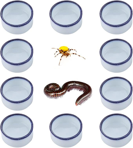 10 Pcs Spider Micro Water Bowl Mini Ceramic Dish for Tiny Reptile Spider Millipede Tarantula (Small Size: 0.86" D, 0.43" H)