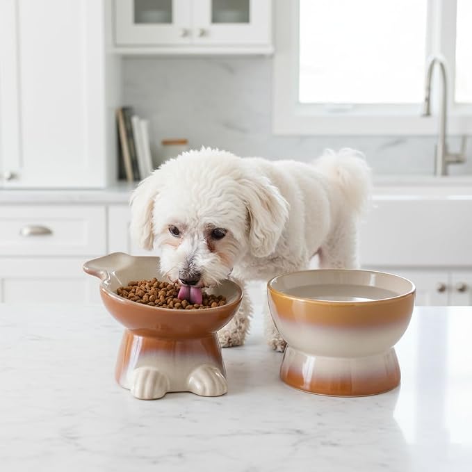 Nihow Dog Food & Water Bowls: Elevated Ceramic Bowls for Medium/Small Dog | Food Safe Raised Puppy Bowls - Brown Pet Bowl for Protecting Pet's Spine (Set of 2)