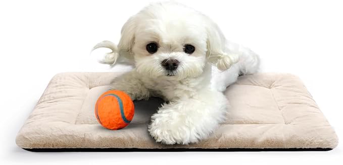 Dog Crate Pad Washable Dog Bed for Crate Small Cozy Mat 22-Inch Cream | Ultra Soft Kennel Pad,Anti-Slip Bottom,Fits for Most Metal Crates,Comfortable Sleeping Pet Mat