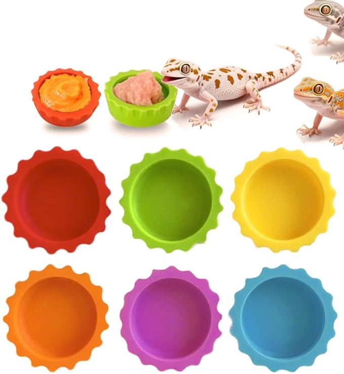 Meow&Woof Crested Gecko Food and Water Feeding Cups, Reptile Food Dish, 6 Pack Colorful Water Bowl for Bearded Dragon Tank Terrarium Accessories Supplies for Tortoise, Crab and Small Pet
