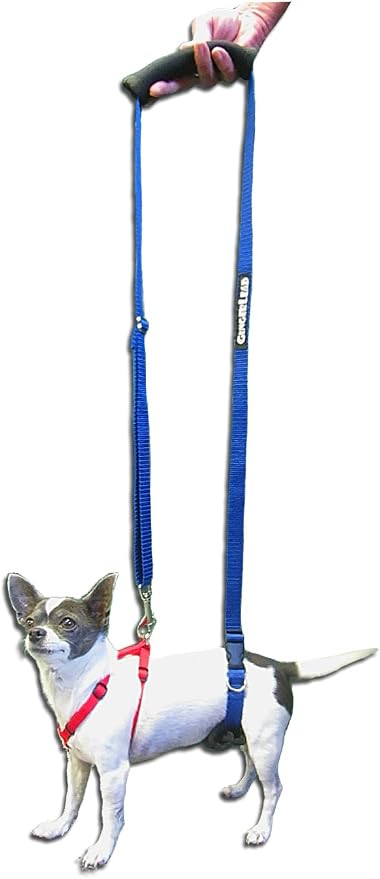 Dog Back Support IVDD Sling Harness, X-Small & Dachshunds | Fits Pets Under 25 lbs and Doxies, Walking Aid for K9s with Disc Disease, Fully Adjustable, Chest Harness NOT Included