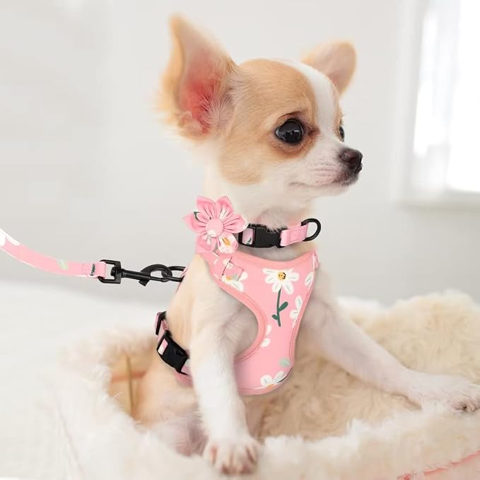 Beirui Cute Dog Collars,Harnesses,Leashes Set, Floral Pattern, Pink-1,XXS | Girl Dog Harness Set with Flower, Adjustable and Soft Mesh Lining, For Puppies Small & Extra Small Dogs Daily Walks