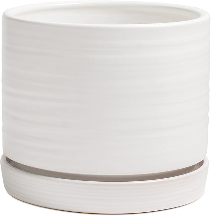 HERDUK 8 Inch Pots for Plants, Ceramic Planter Pot with Drainage Hole & Saucer, Indoor/Outdoor Cylinder Round Planter Pot, Matte White