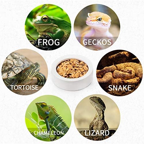 Meanplan 4 Pcs Reptile Bowl Food Dish Reptile Water Food Feeding Dish Ceramic Worm Pet Bowl Anti Escape Feeder for Lizard Anoles Chameleon Bearded Dragon Hermit Crab(2.71 Inch)