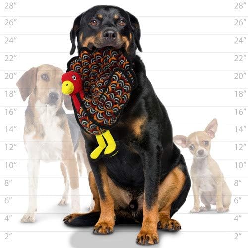 TUFFY® : 2 Pack Turkey Dog Toy: Ultra Durable Plush Toy with Multiple Layers & Reinforced Seams, Washable and Floats, Original Construction