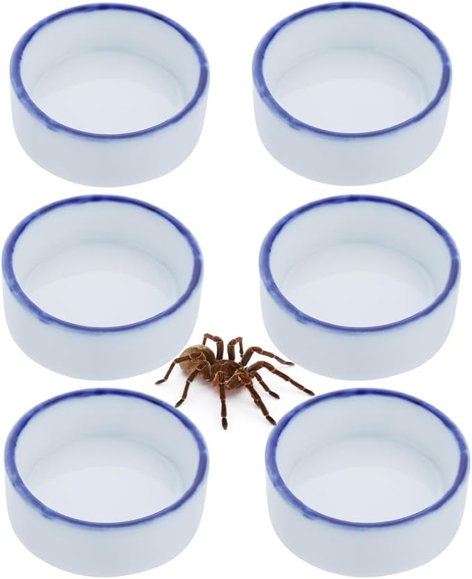 6 Pack Tarantula Ceramic Feeding Bowl Hermit Crab Water Bowl Spider Small Reptile Micro Ceramic Food Dish (1.37" D, 0.51" H)