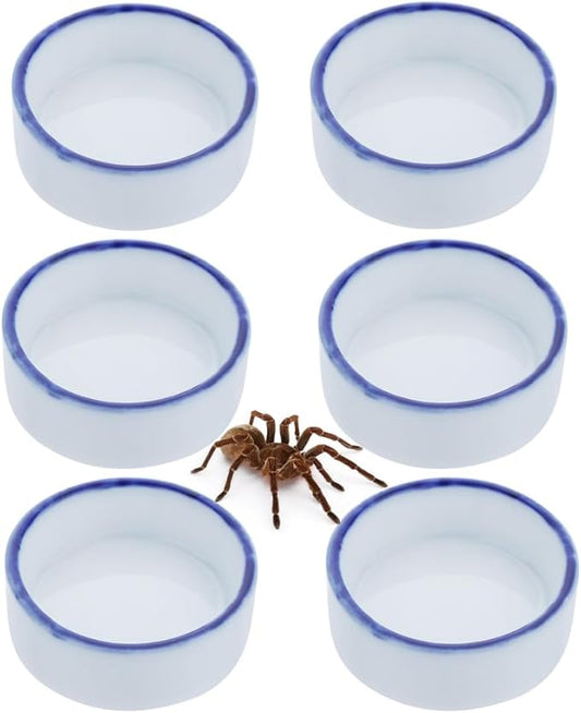 6 Pack Tarantula Ceramic Feeding Bowl Hermit Crab Water Bowl Spider Small Reptile Micro Ceramic Food Dish (1.37" D, 0.51" H)