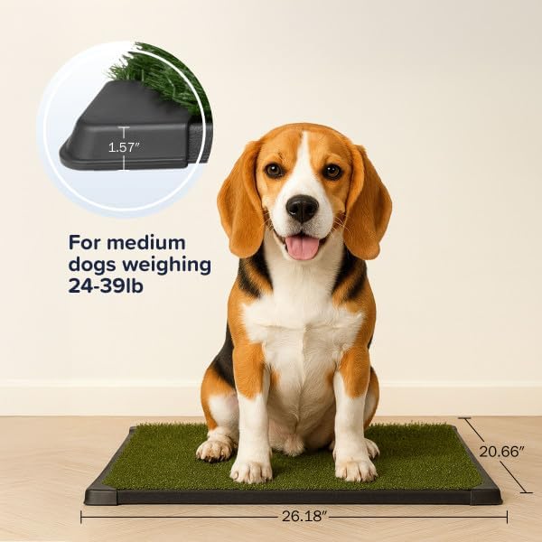 Artificial Grass Puppy Pee Pad for Dogs and Small Pets - 20x25 Reusable 4-Layer Training Potty Pad with Tray - Dog House and Pet Supplies by PETMAKER | Reusable 4-Layer Turf Pads for Dogs with Tray, Indoor and Outdoor Fake Grass Potty, Pet Supplies