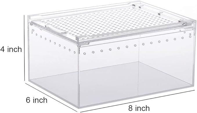 NANEEZOO Magnetic Acrylic Reptile Case - 8"x6"x4" Flat Long Enclosure Transparent Reptile Breeding Box Terrarium Cage - for Tarantula Scorpion Sling Isopods Invertebrates & Insect Mantis