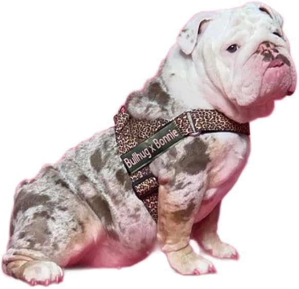 Adjustable Dog Harness– No Pull, No Choke – for English Bulldogs, French Bulldogs, Pugs & Broad-Chested Breeds – Easy, Safe Walks (Leopard, Large)