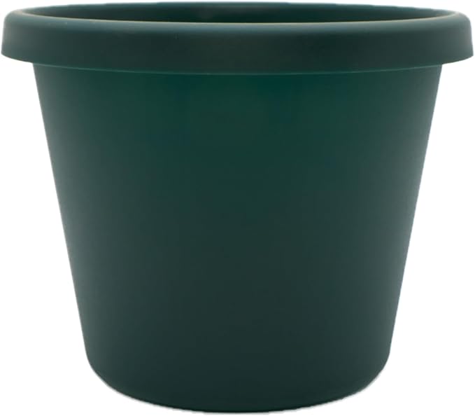 The HC Companies Prima Round Plastic Plant Pot w/Rolled Rim - Lightweight & UV Resistant Flower Pot for Herbs & More - Outdoor & Indoor Plant Pots w/Drainage (8 inch, Evergreen, Pack of 1)