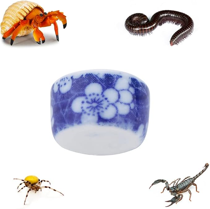 DQITJ 9 Pcs Spider Micro Ceramic Water Bowl, Hermit Crab Mini Dish for Spider Tarantula Hermit Crab Millipede Tiny Reptile