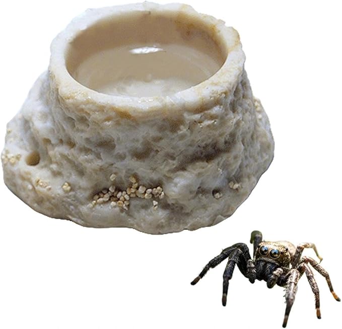 Round Spider Mini Water Bowl Small Mini Resin Dish for Spiders Crawler Feeding Sink Small Water Sink for Reptile