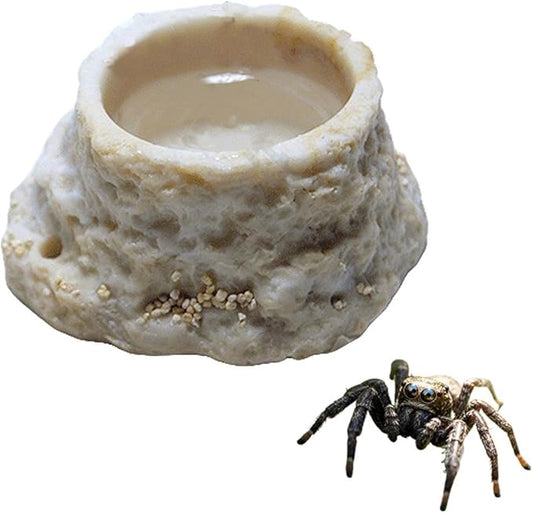 Round Spider Mini Water Bowl Small Mini Resin Dish for Spiders Crawler Feeding Sink Small Water Sink for Reptile