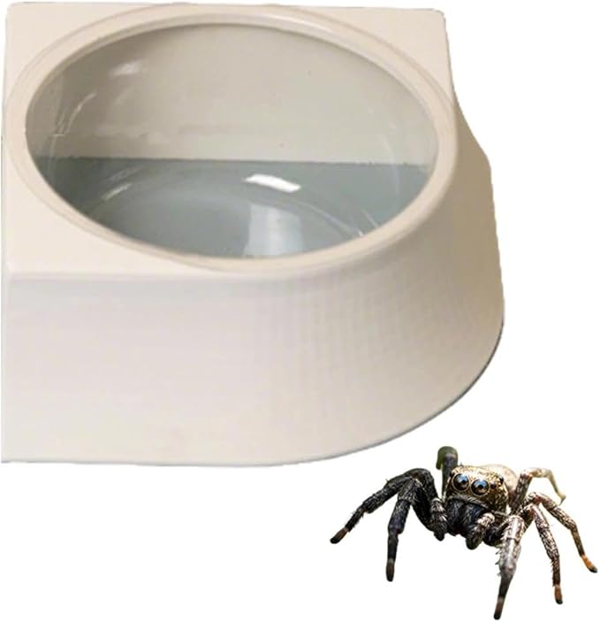 1 Pack Spider Micro Water Bowl Mini Tarantula Water Dish for Millipede Spiders Gecko Lizard Tiny Reptile Jumping Spider Enclosure Accessories (Small: 2.48" D) Cream White