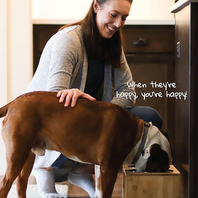Elevated Dog Bowl Stand- 7" Raised Pet Feeder for Medium Dogs with Four Stainless Steel Bowls.
