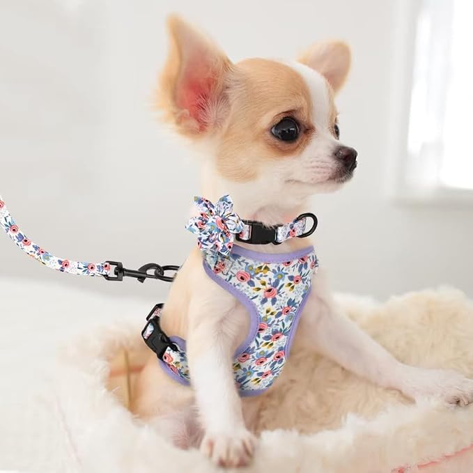 Beirui Cute Dog Collars,Harnesses,Leashes Set, Floral Pattern, Blue,XXS | Girl Dog Harness Set with Flower, Adjustable and Soft Mesh Lining, For Puppies Small & Extra Small Dogs Daily Walks