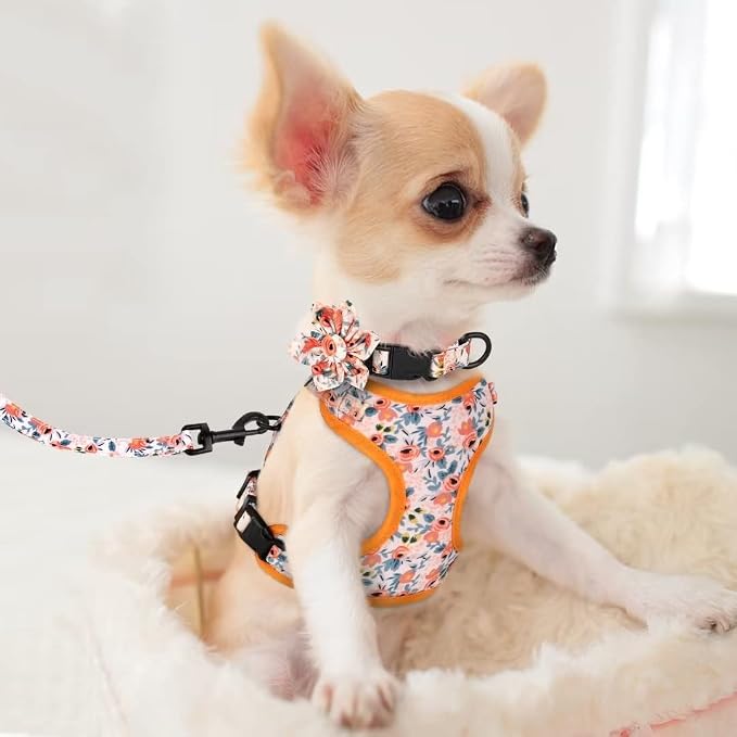 Beirui Cute Dog Collars,Harnesses,Leashes Set, Floral Pattern, Orange,XXS | Girl Dog Harness Set with Flower, Adjustable and Soft Mesh Lining, For Puppies Small & Extra Small Dogs Daily Walks