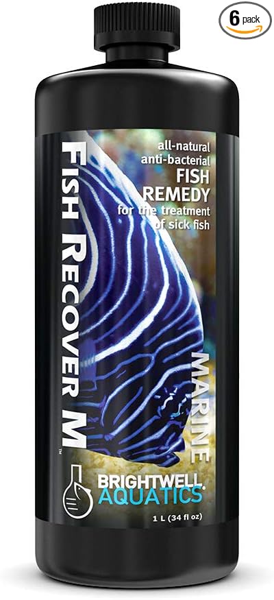 Brightwell Aquatics Fish Recover M – Botanical Remedy for Treating Marine Fish Health Issues, 1 Liter